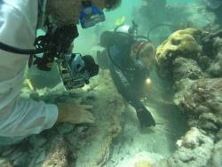 underwater.jpg (medium)